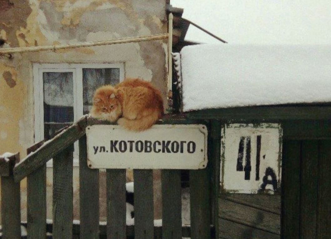 Скажем прямо - тяжело...