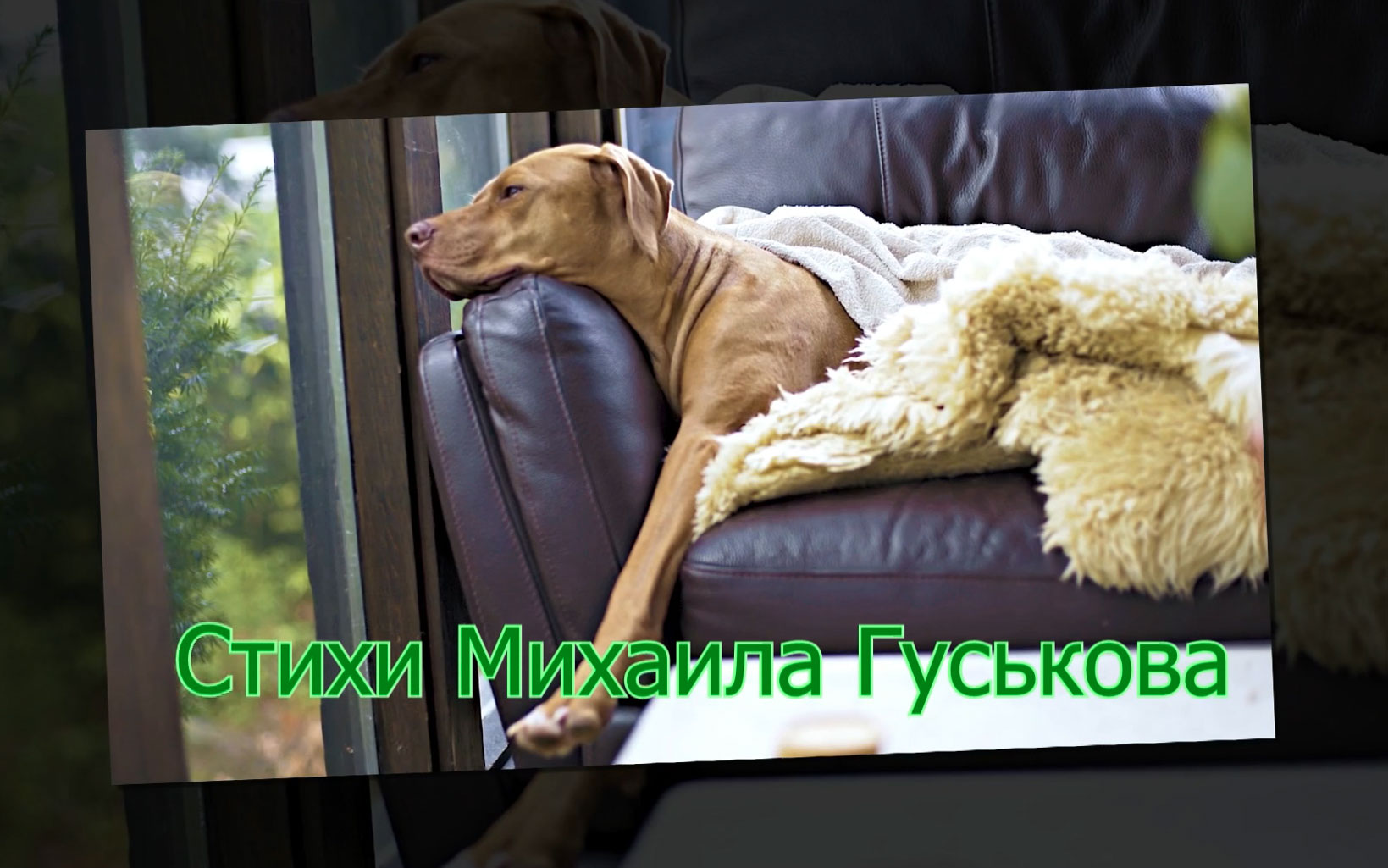 Поплачет со мной ветерок! Чарида