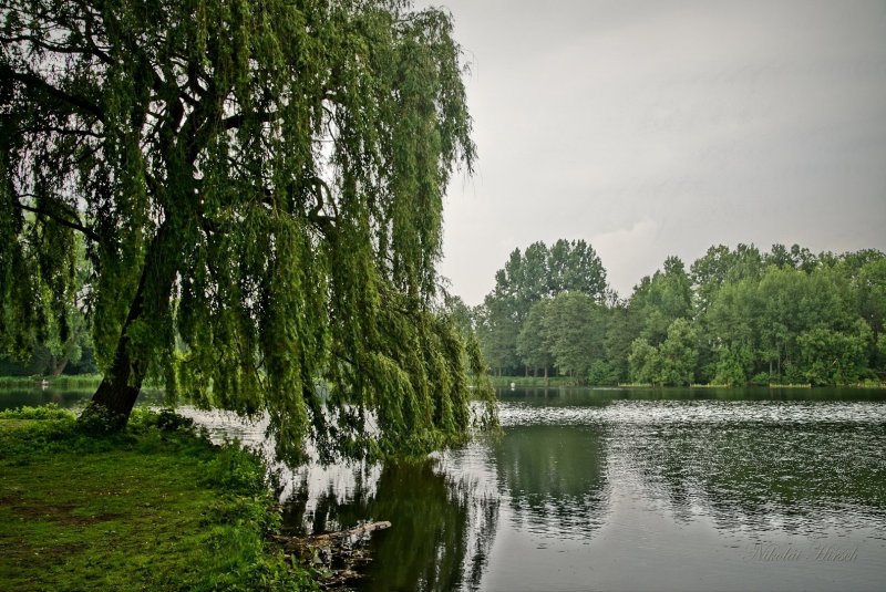 Тимэ йорэк кылларына