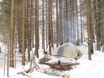 2020г. Хочу палатку я поставить. 231в