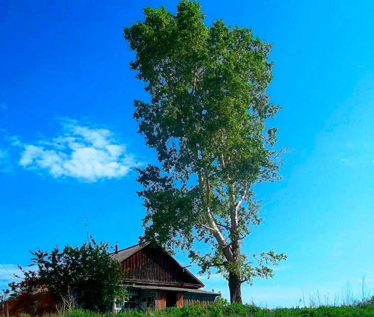 Тропинку помнишь