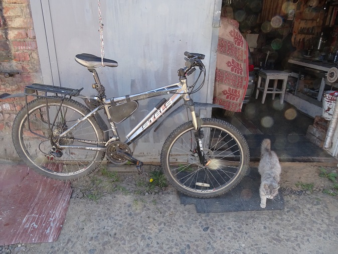 2020г. Со мной шесть лет ты не жила. 247в