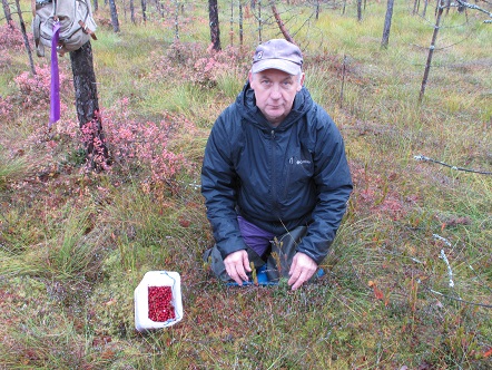 2020г. Я не могу пойти за клюквой. 253в