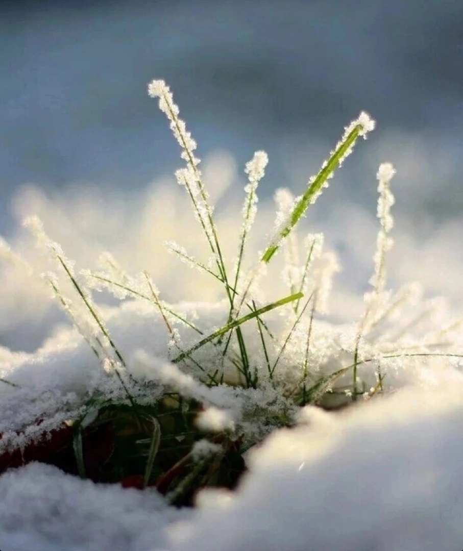Доброе утро снежный март. Весенний снег. Февраль природа.