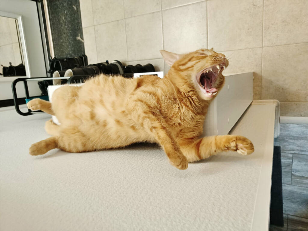 необычные ситуации. самая смешная и забавная. прикольные картинки. забавные люди. прикольные животные.