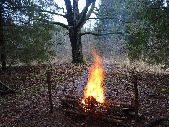 2021г. К тебе пришёл, чтоб ты поздравил. 001и