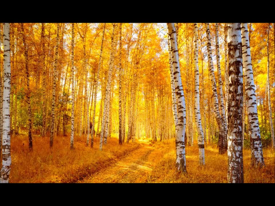 Житкэн козлэр