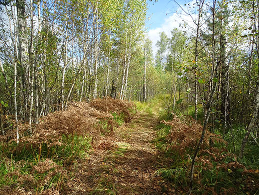 2021г. Проснулась утром - где трусы? 018и