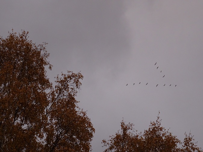 2021г. Мне не понятна суть в тебе. 020и