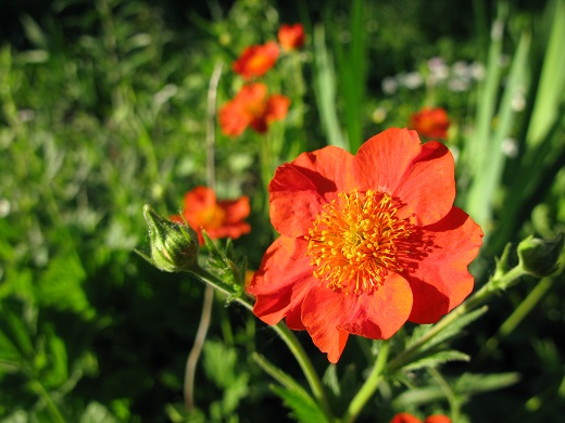 2021г. Зимы настали холода. 025и