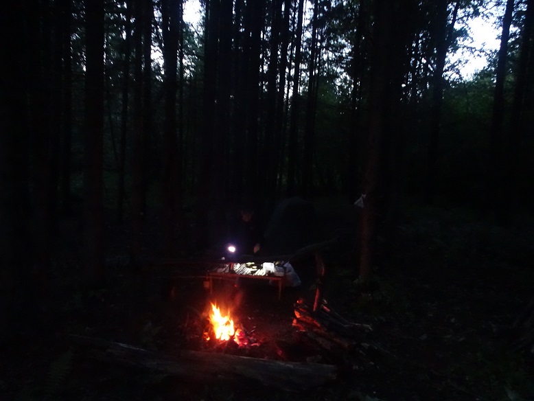 2021г. Ты подари мне ночь любви. 027и