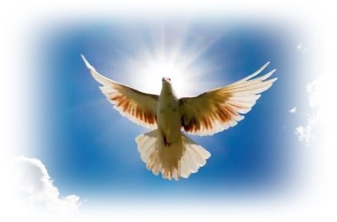 Благая весть