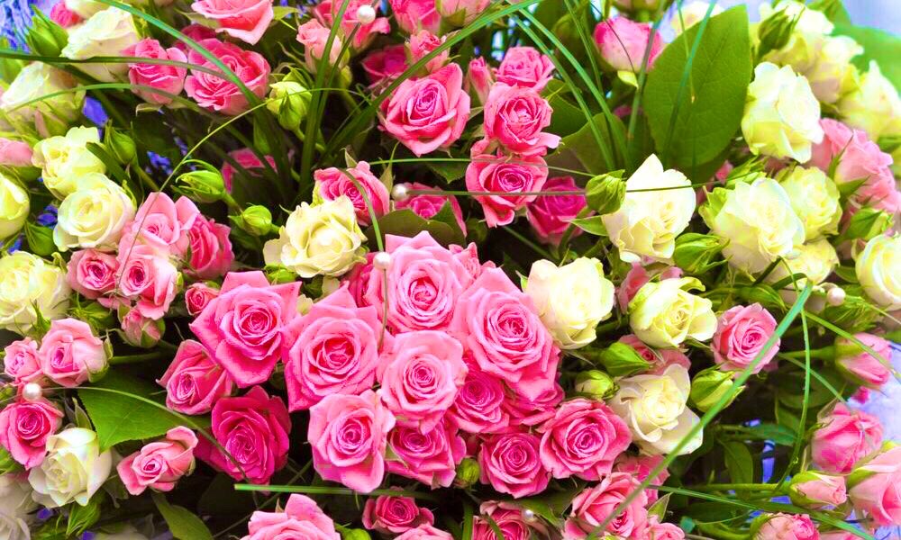 Николай, Николай... Акро рецензия