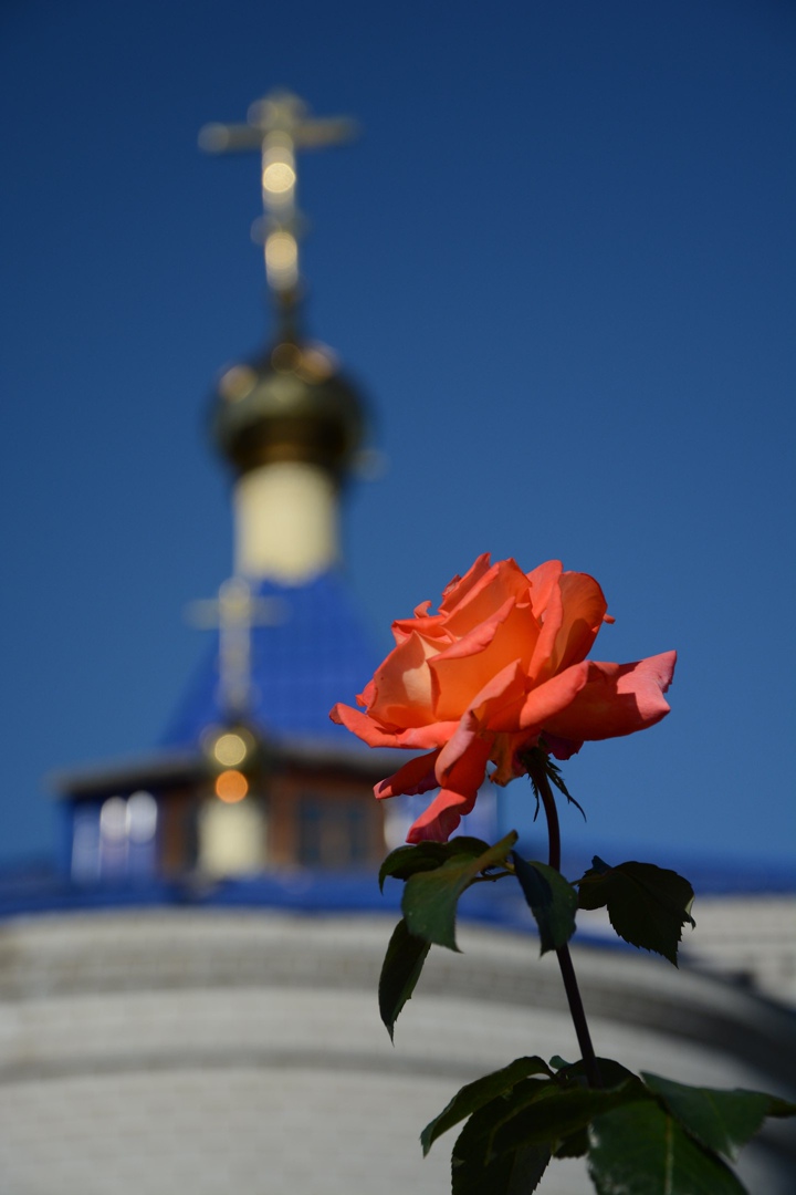 Каждому путь выбирать