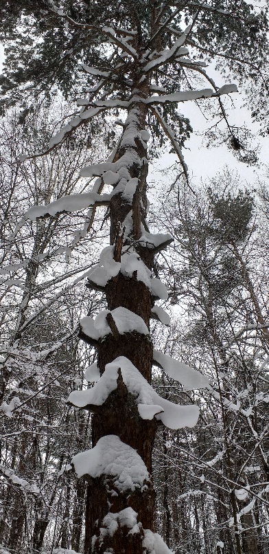 Уж скоро