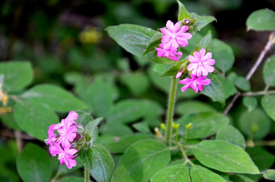 2021г. Они сидели на диване. 054и