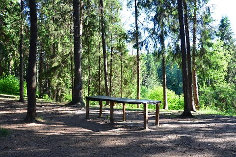 2021г. Мой друг, тебе я отвечаю. 055и