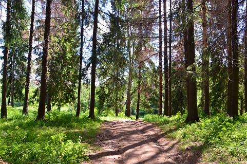 2021г. От такой жизни надо в лес. 058и