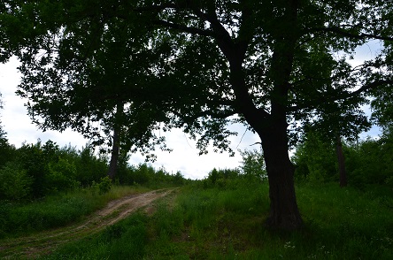 2021г. Роптать уж смысла нет теперь. 064и