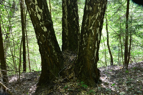 2021г. Мою с тобою переписку. 065и