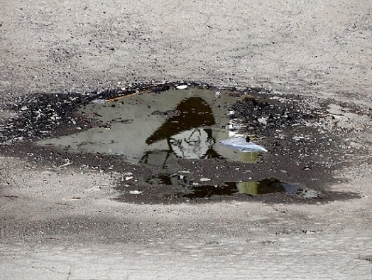 Грязная лужа