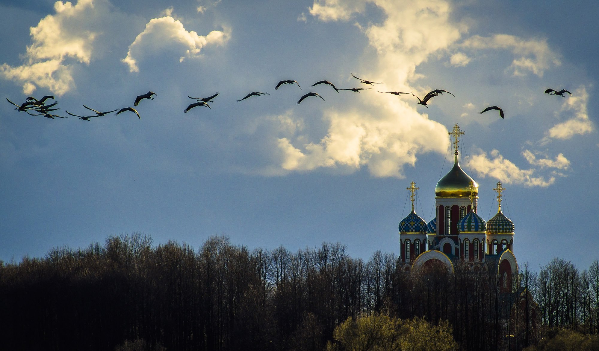 Россия небо птица. Журавлиный Клин храм. Храм природа Клин журавлей. Птицы над храмом. Журавли в небо с храмом.