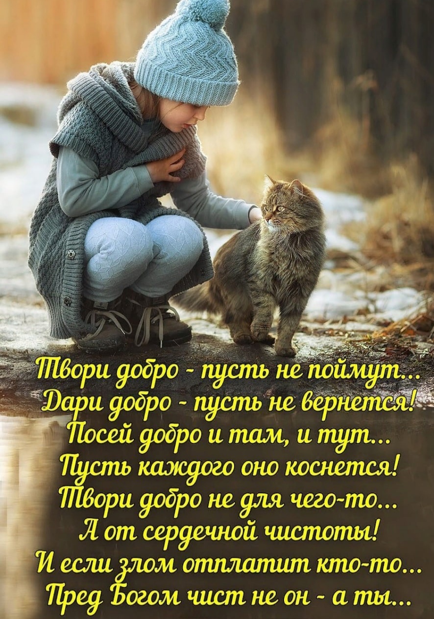 город золотой текст. песня небо голубое кто написал. сочинение по картине мавриной васильки на окне 2 класс. песня небо голубое кто написал. песня небо голубое кто написал.