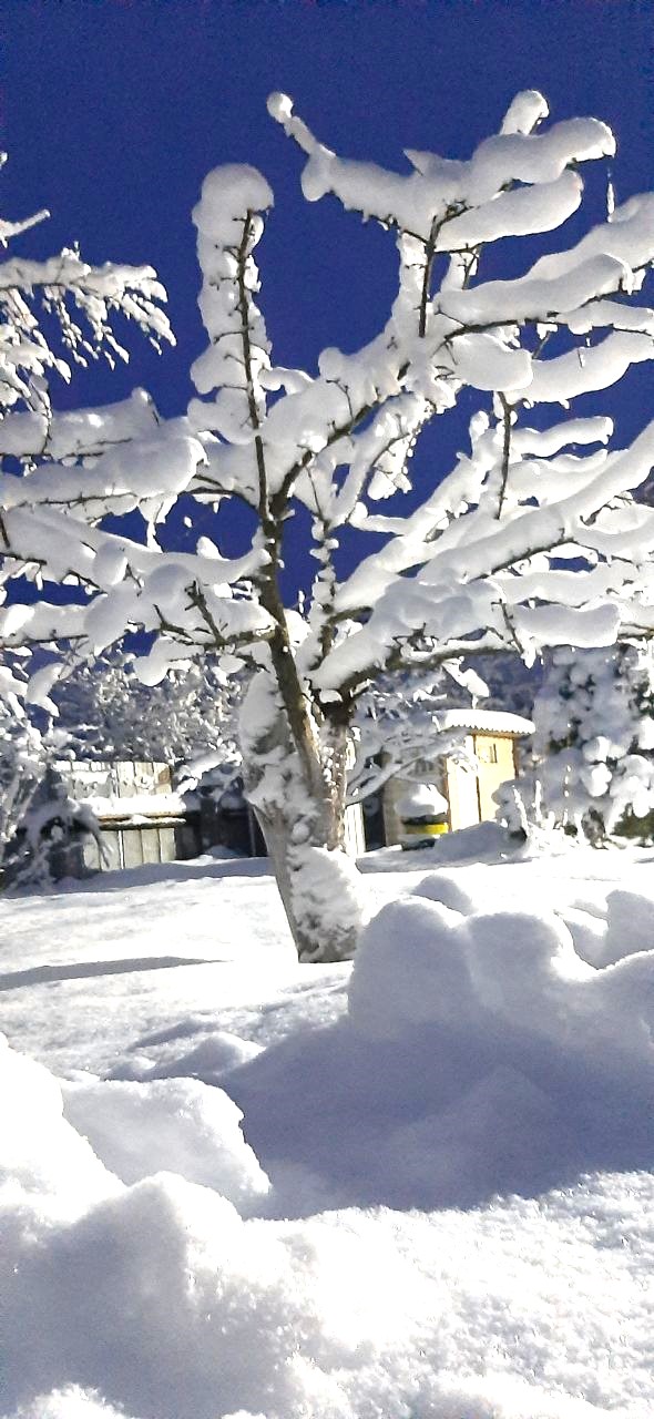 Не плачь о временном