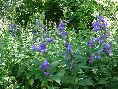 2021г. Своей рукою постепенно. 076и