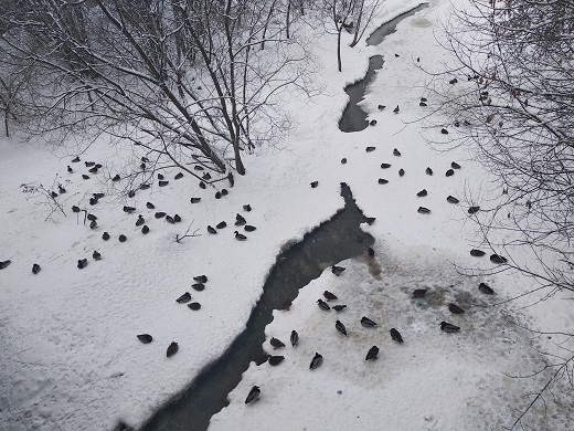2024г. Чуть приоткрыла дверь стихия. 587и