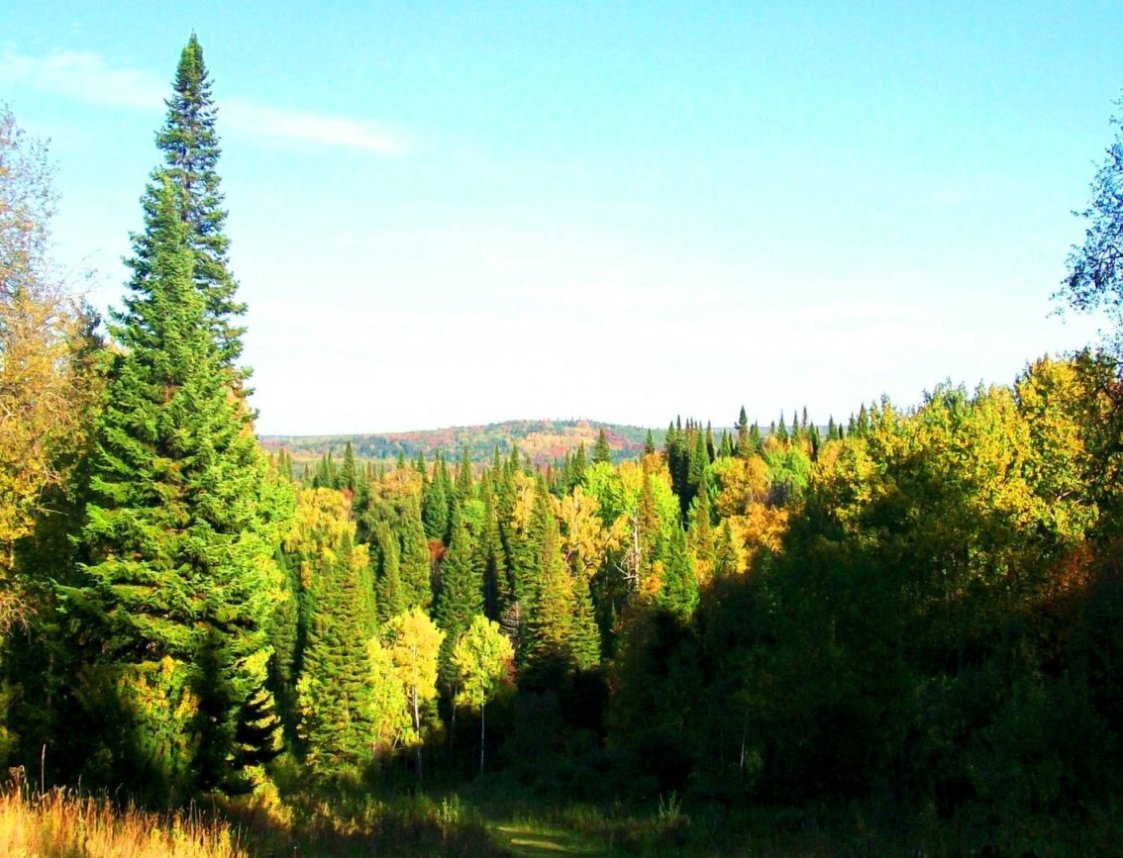 Ты в сияющем этом мгновенье