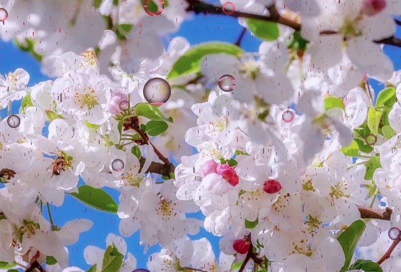 Ода весне (Наталия Эмер) / Стихи.ру