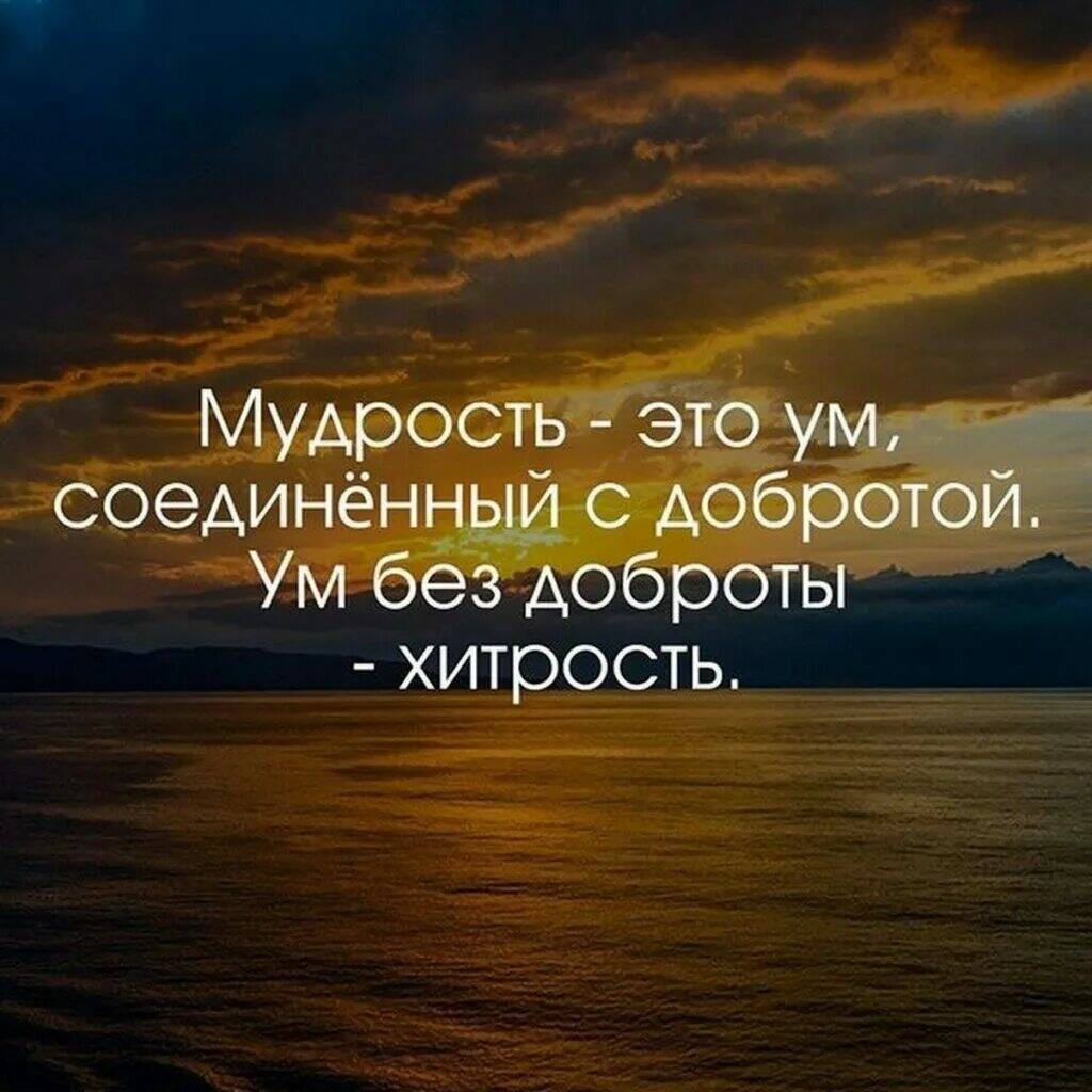 Высказывания о хороших людях. Добрые умные цитаты. Цитаты про добро. Афоризмы про добро. Интересные высказывания о жизни.