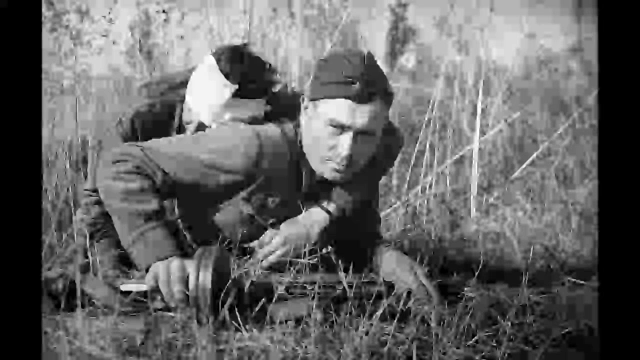 Жир ана елый буген