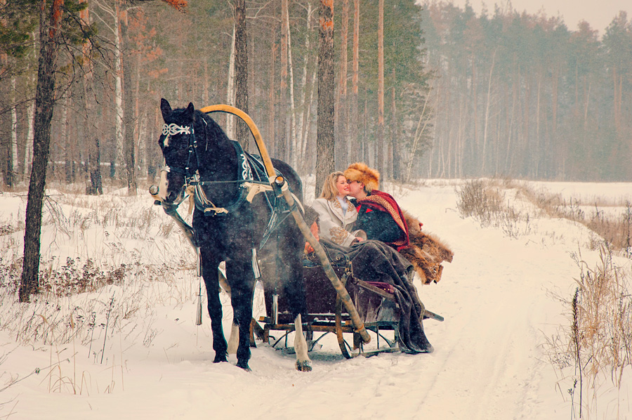 Еду на коне песня. Женщина в санях. Сани в лесу. Фотосессия с лошадью зимой. Девушка на санях.