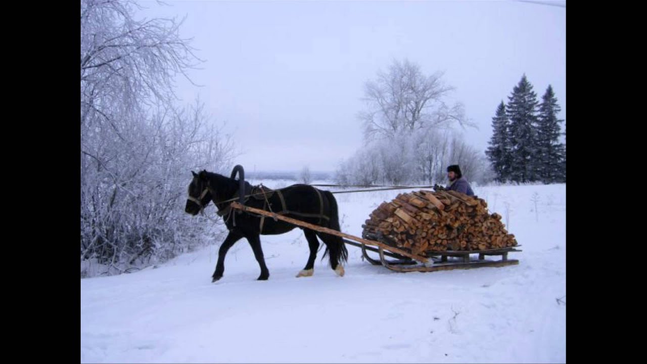 Невдалеке стояла телега запряженная. Лошади в деревне зимой. Телега дров. Лошадь запряженная в сани. Сани для дров.
