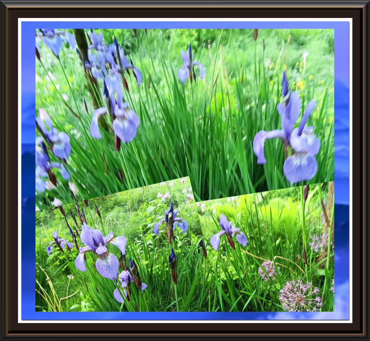 Мимо Ходом - отчего, так подолгу я сплю...