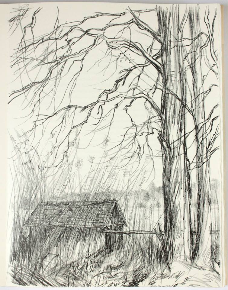 Был черным сад