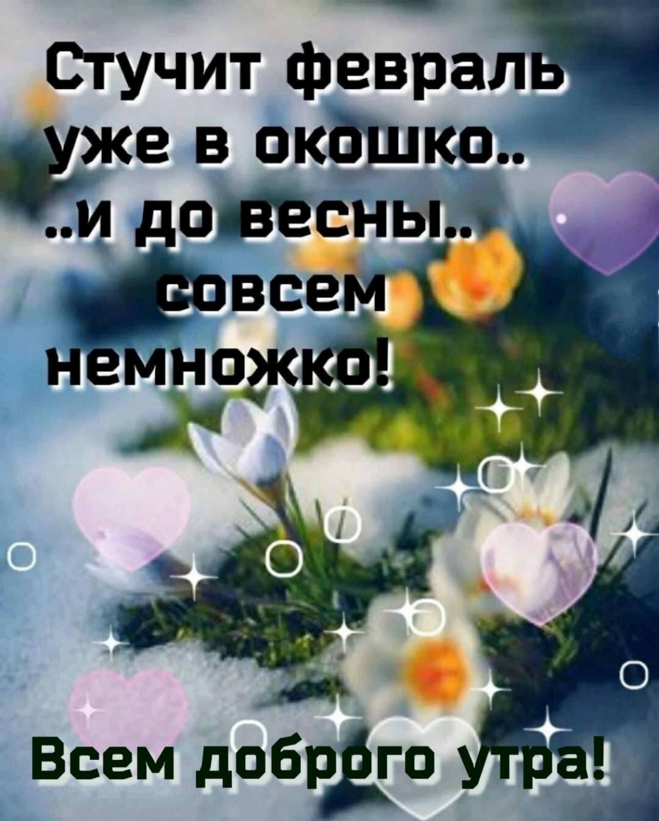 картинки а ты ничего. афоризмы про уникальность. человек мем. даже ничего не говорила. ничего не буду говорить не надо.