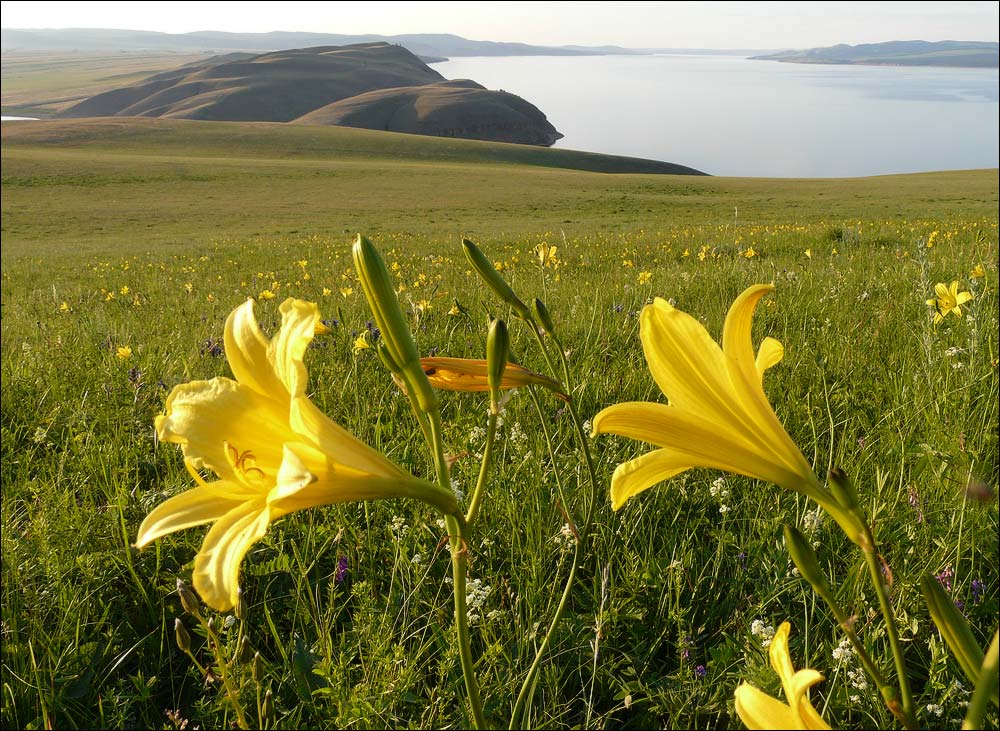 Этот запах с горчинкой витая...