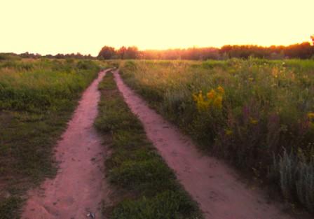 Цыганская судьба
