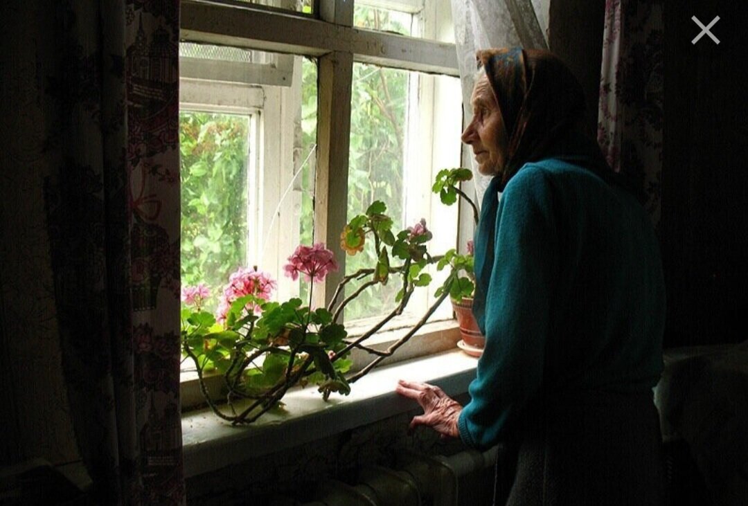 Глянула матушка в окно а там все. Мама у окна. Одинокая пожилая женщина у окна. Мама ждет у окна. Пожилая женщина ждет у окна.