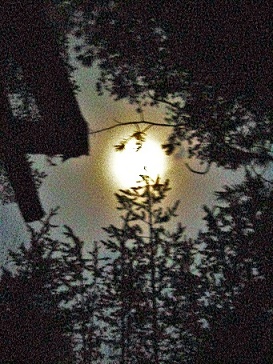 Луна очнулась от напасти