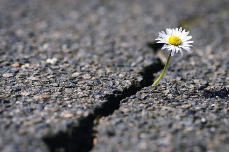 Стремление