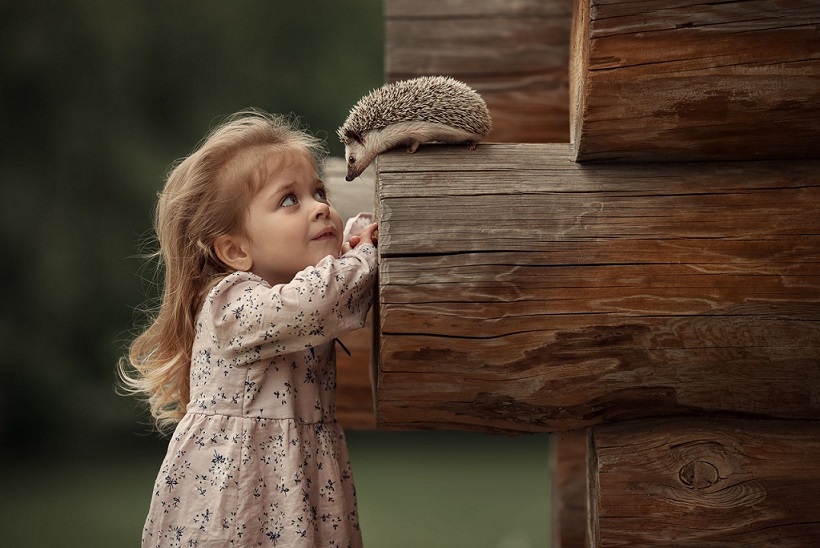 Друг мой ёж