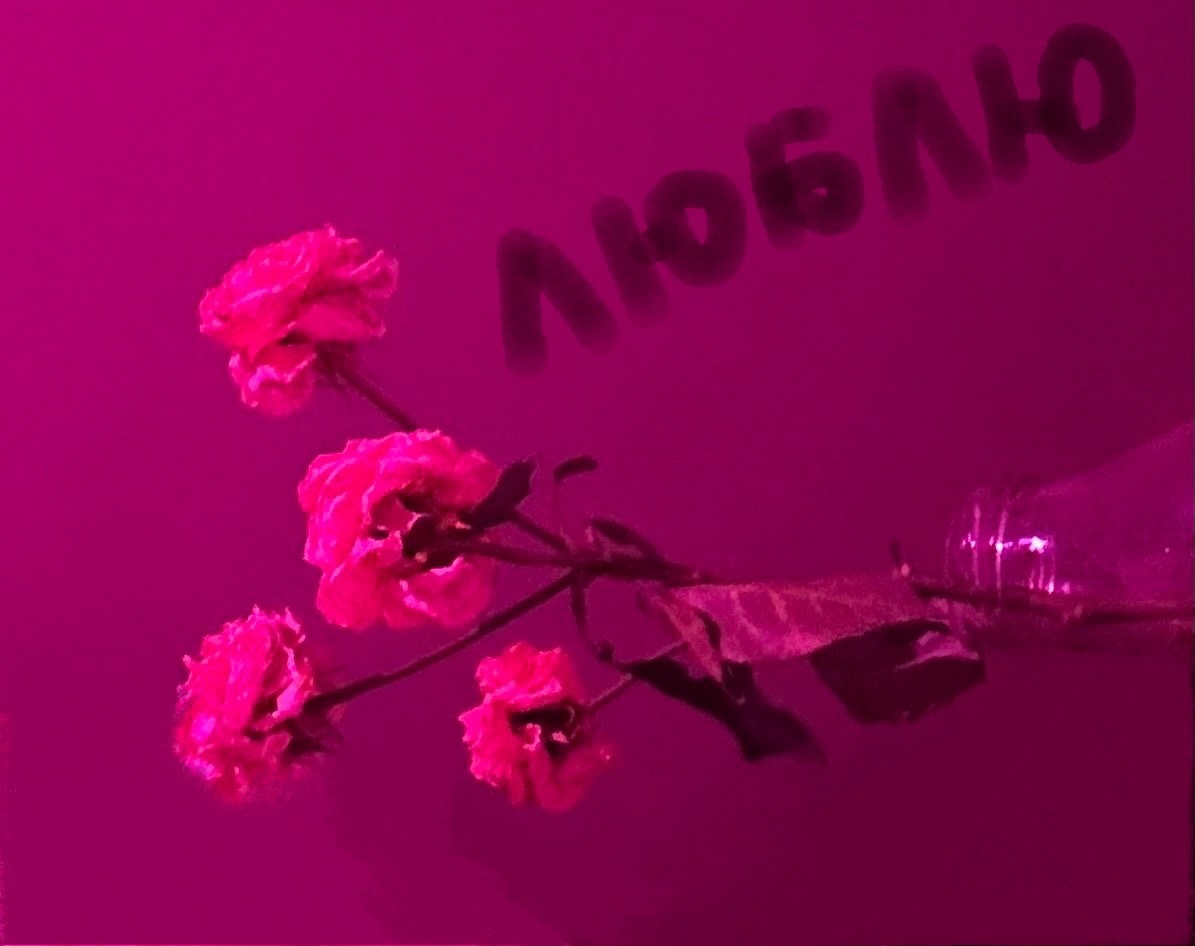 Люблю (Агриппин Соломонов) / Стихи.ру