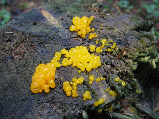 2024г. Зачем спиртное выпивать. 595и