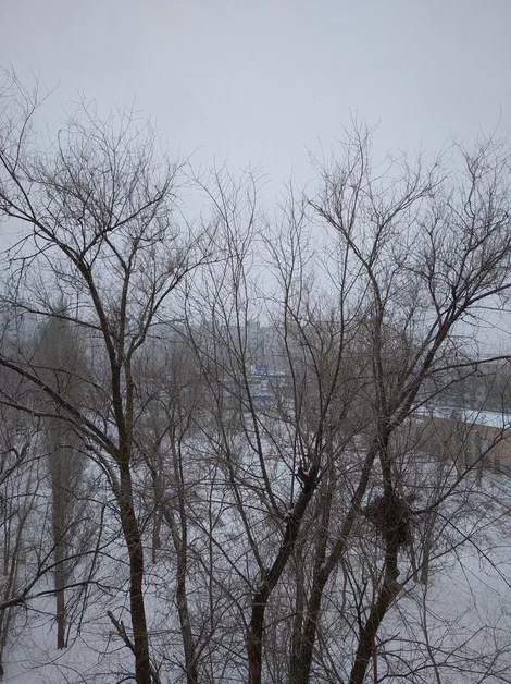 Февраль. Достать чернил. Не плакать