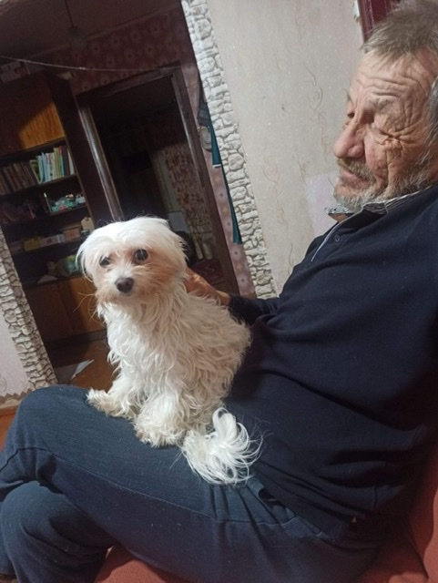 Утешение в старости