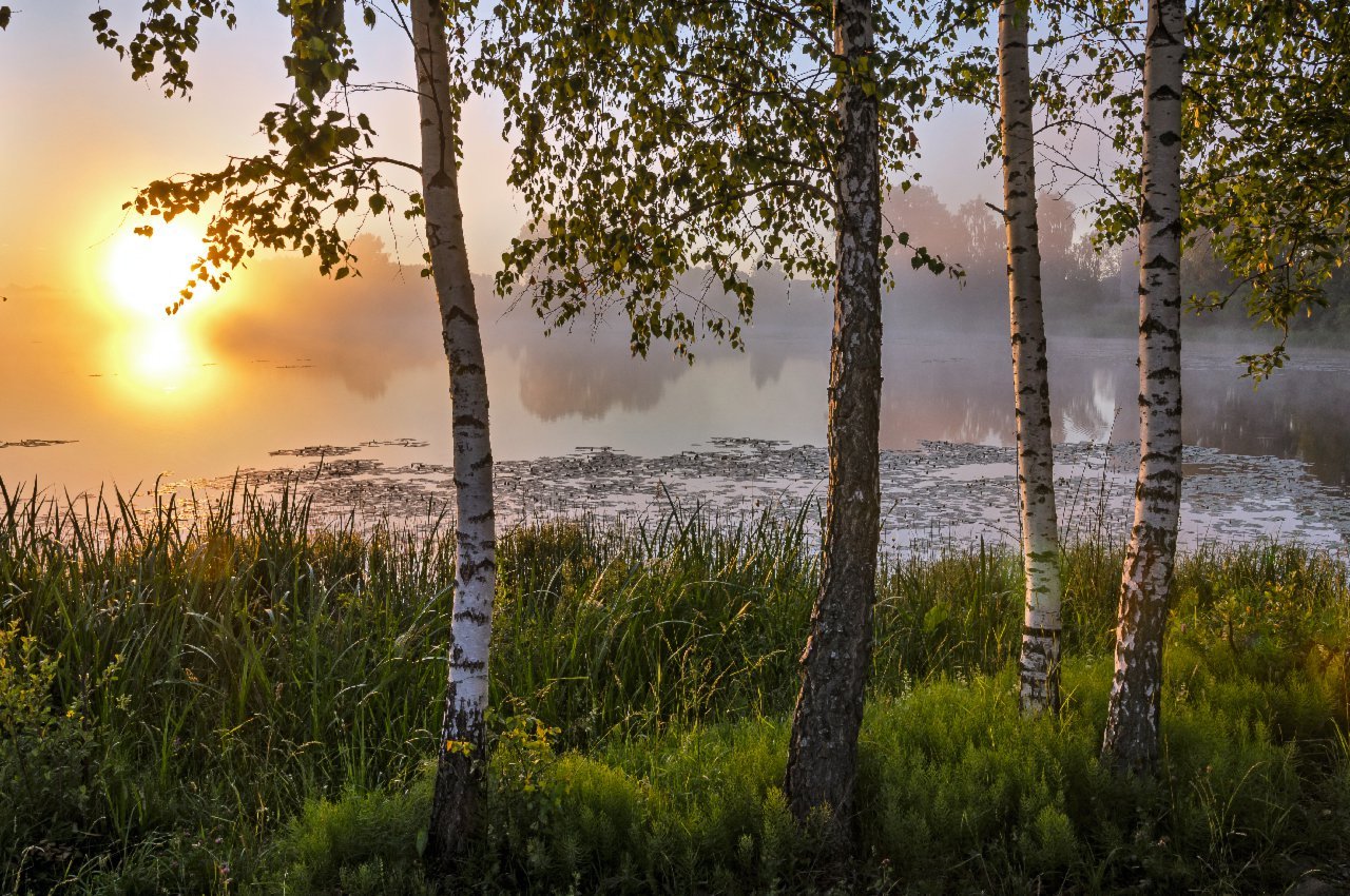 Про закат на железной дороге стихи. Песню за горизонт уходит солнце. Фото солнце мое. Солнце уходит за горизонт. Закат.